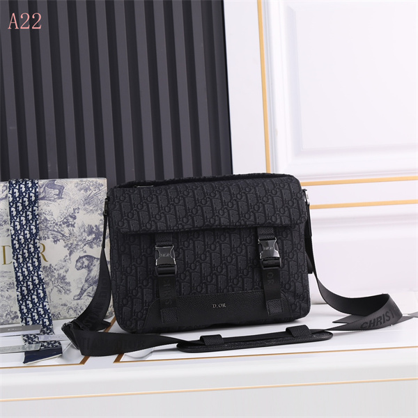 Dior Bags AAA 103